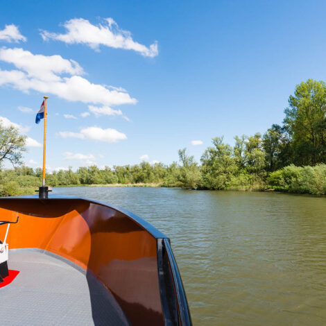 Dagtocht Biesbosch