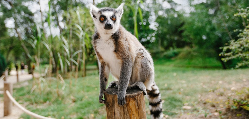 Beekse Bergen